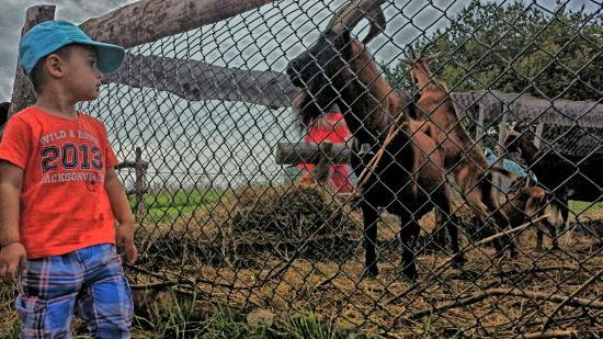 Cason delle Meraviglie