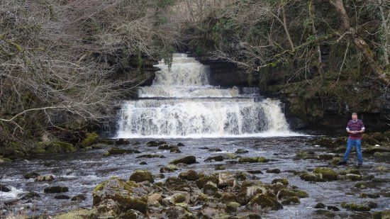 Cotter Force