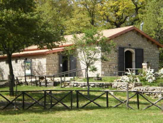 Bosco Macchione