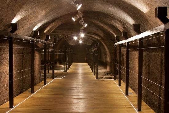 Museo Civico ed Enogastronomico