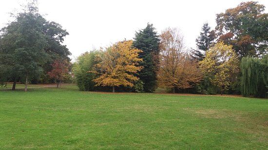 Wells Park