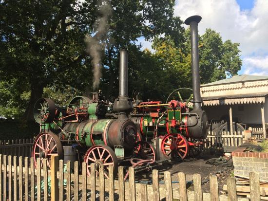Hollycombe Steam in the Country
