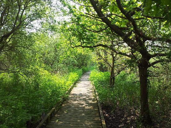 Titchfield Haven National Nature Reserve