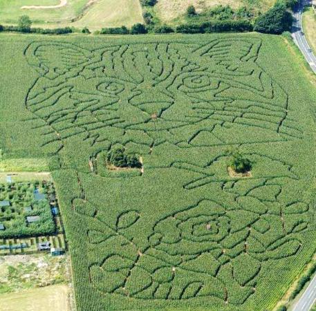 Elton Giant Mazes and Activities Maze