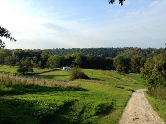 Thistledown Farm