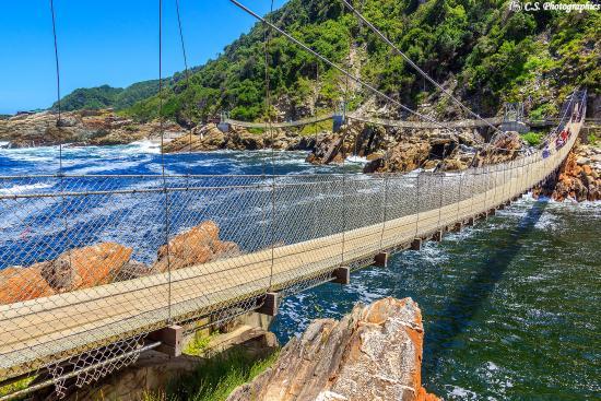Storms River Suspension Bridge