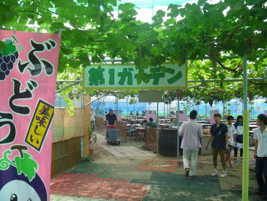 Misaka Farm Grape House