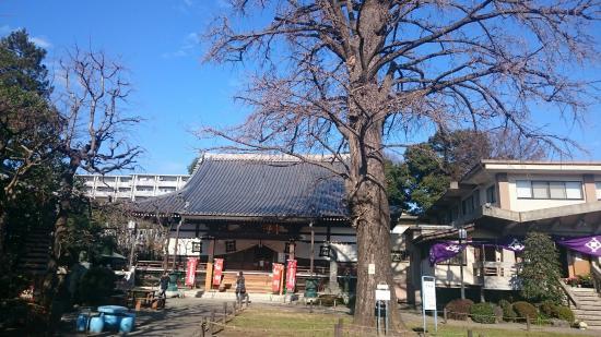 Josenji Temple