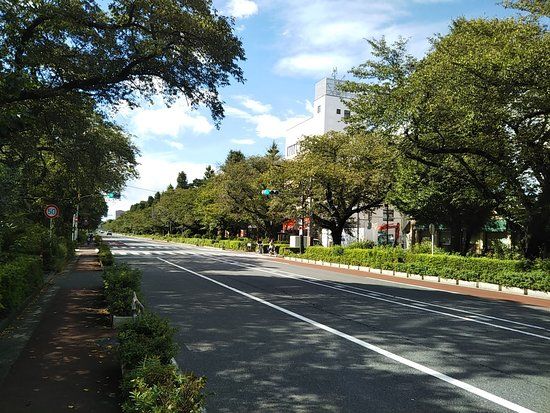 Daigakudori Street