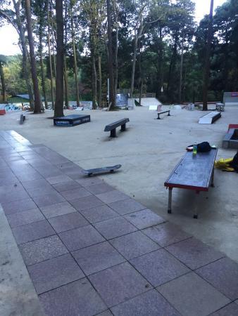 Kashiwa Shonan Yume Farm