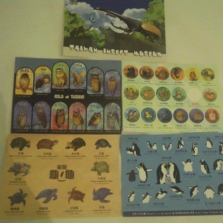 Taiwan Insect Museum