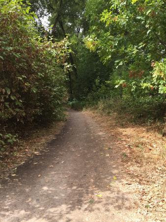 Willamette Park and Natural Area