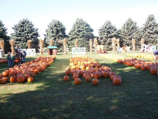 Selmi's Greenhouse and Farm Market