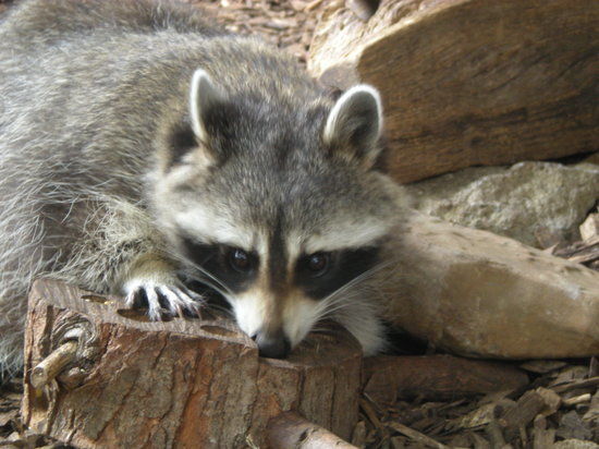 Lake Erie Nature & Science Center