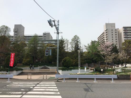 Shinnagashimagawa Water Park