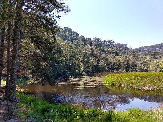 Parque Estadual da Cantareira