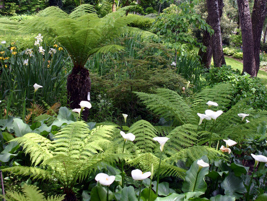 Les jardins des Martels