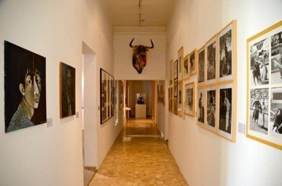 Bull Cultures Museum