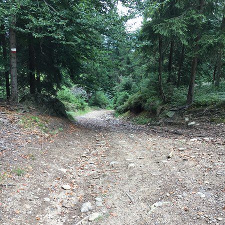 Sektor F Aussichtsplattform