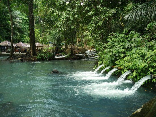 Sesaot Forest