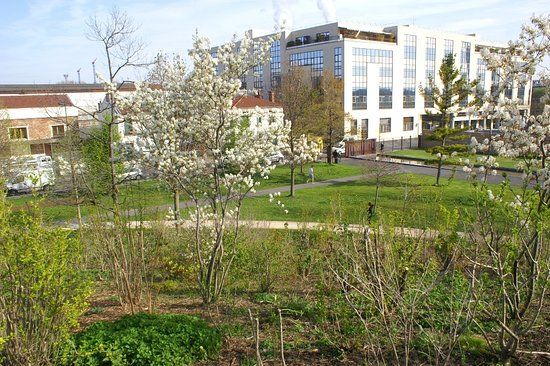 Parc départemental des Cormailles