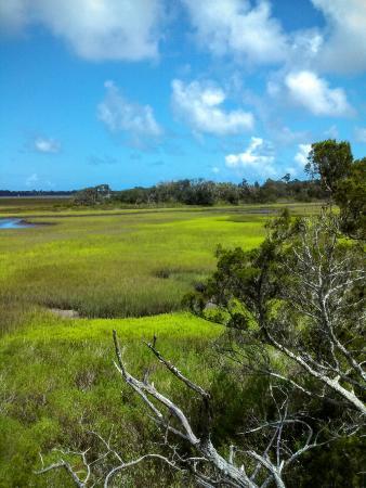 Stokes Landing Conservation Area