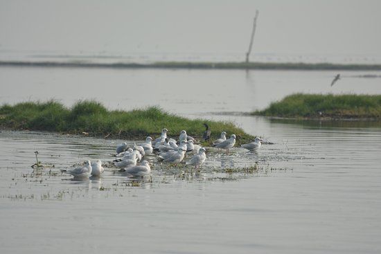 Nalabana Bird Sanctuary