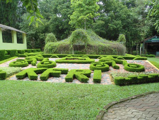 Nilambur Teak Museum