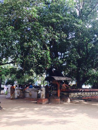 Oachira Parabrahma Temple