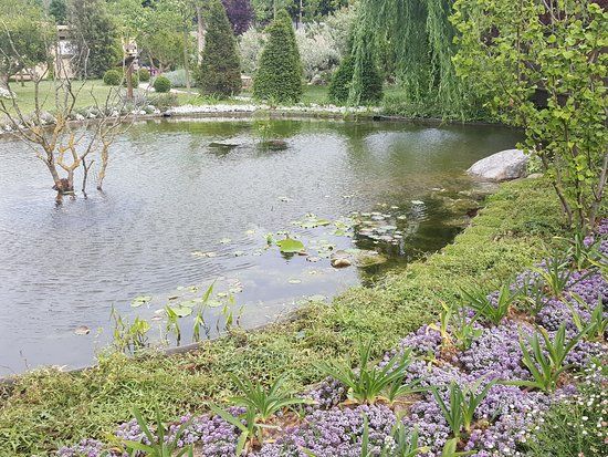 Oasi in Citta Patrizia Veniero