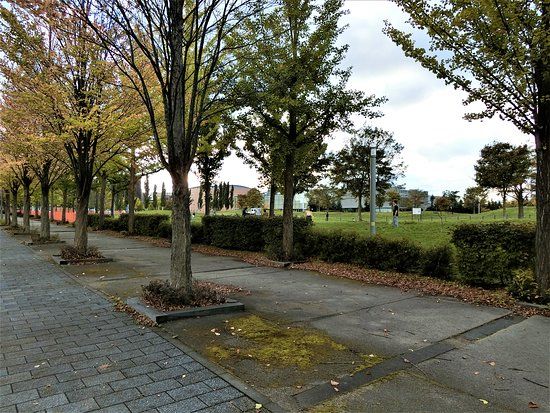 さっぽろ大地公園