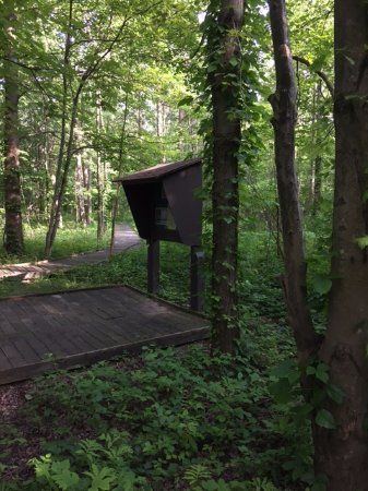 Fowler Woods State Nature Preserve