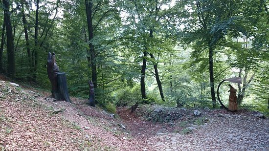 Bosco degli Gnomi