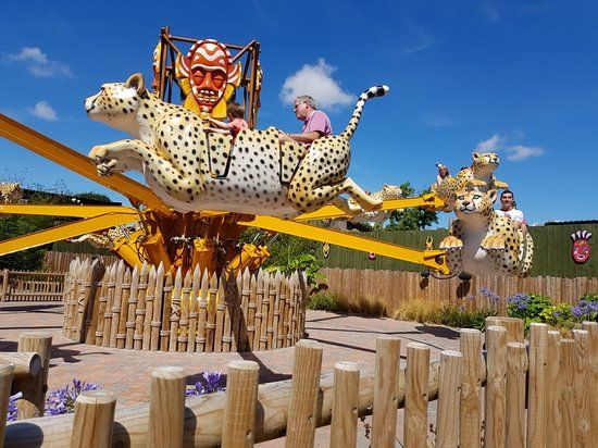 Drusilla's Zoo