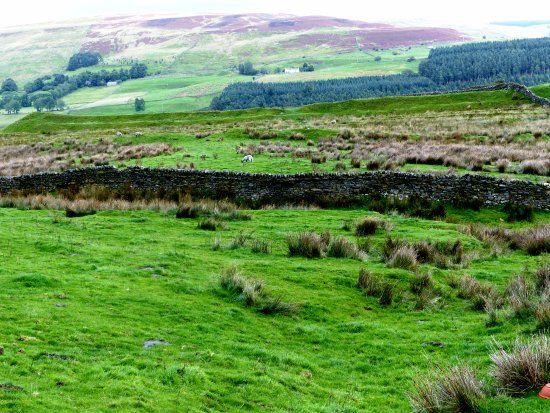 Whitley Castle Roman fort and vicus