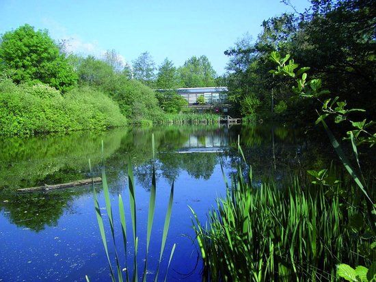 Trafford Ecology Park