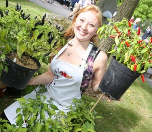 The Chillilicious Farm