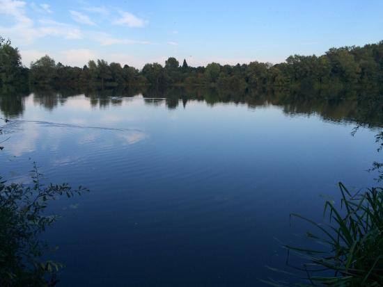 Ricklinger Kiesteiche