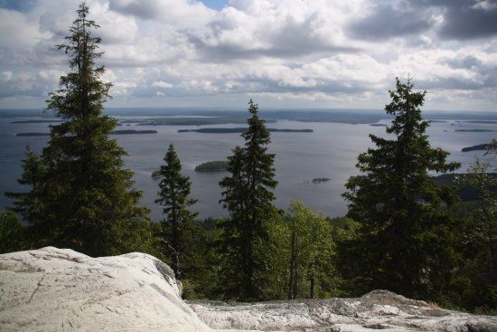 Koli Nature Center Ukko