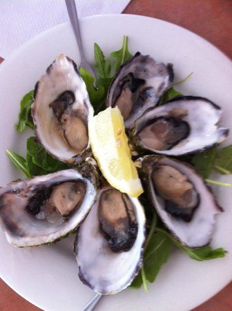 Noosa Yacht and Rowing Club