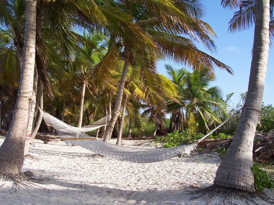 Gwen's Reggae Bar & Grill