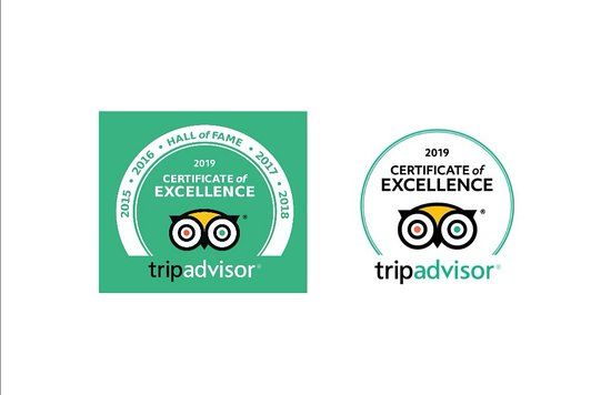 Scampis Tenerife Fish and Chips