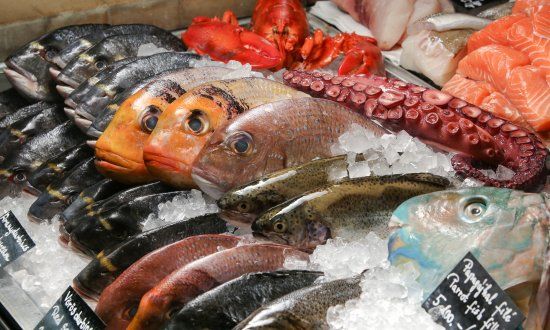 the bigfish seafood bistro