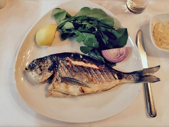 Mavi Melek Restaurant