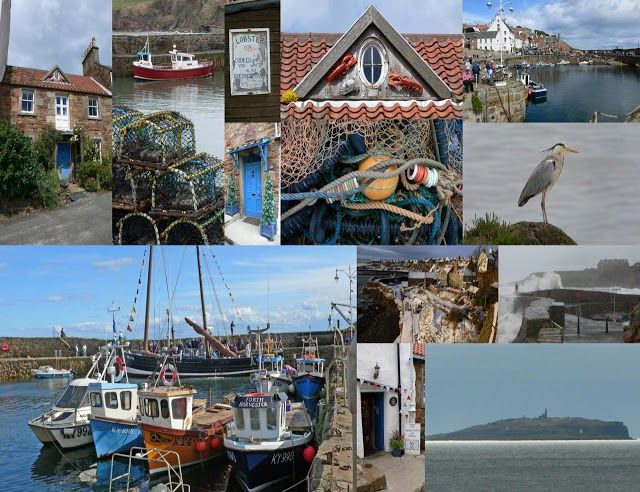 Crail Harbour Gallery and Tearoom