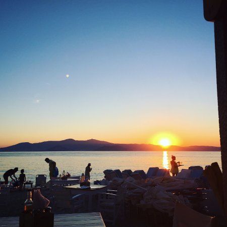 Ostria Cafe Restaurant