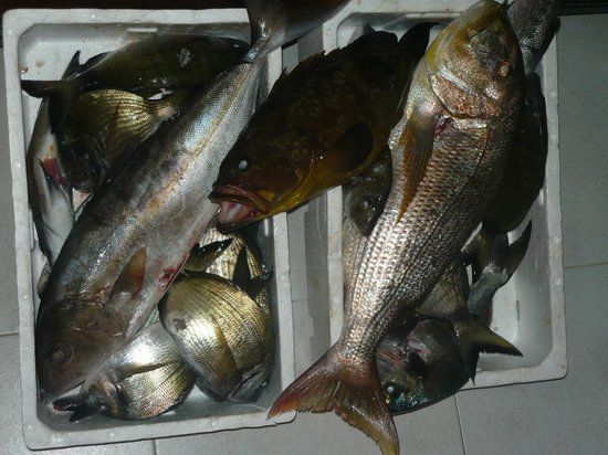 Mediterraneo Restaurant