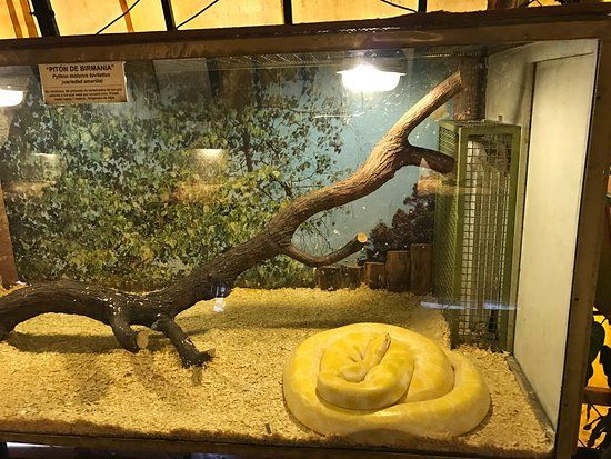 Zoológico Serpentario Mendoza