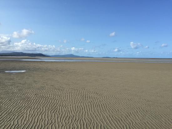 Kuku yalanji cultural heritage beach walk