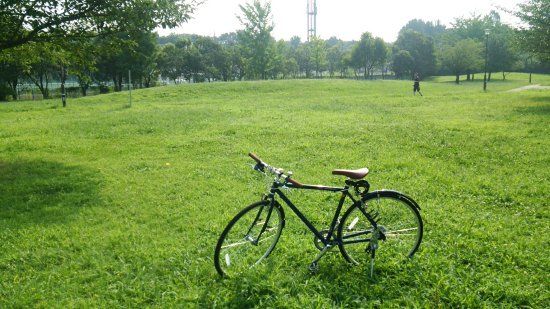 Johoku Chuo Park